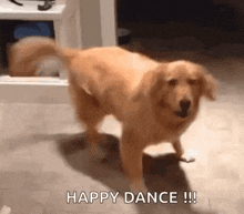 celebrate